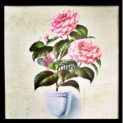 Tablou / Poster pentru decor salon  3D din vinil Cod  TPA050 L